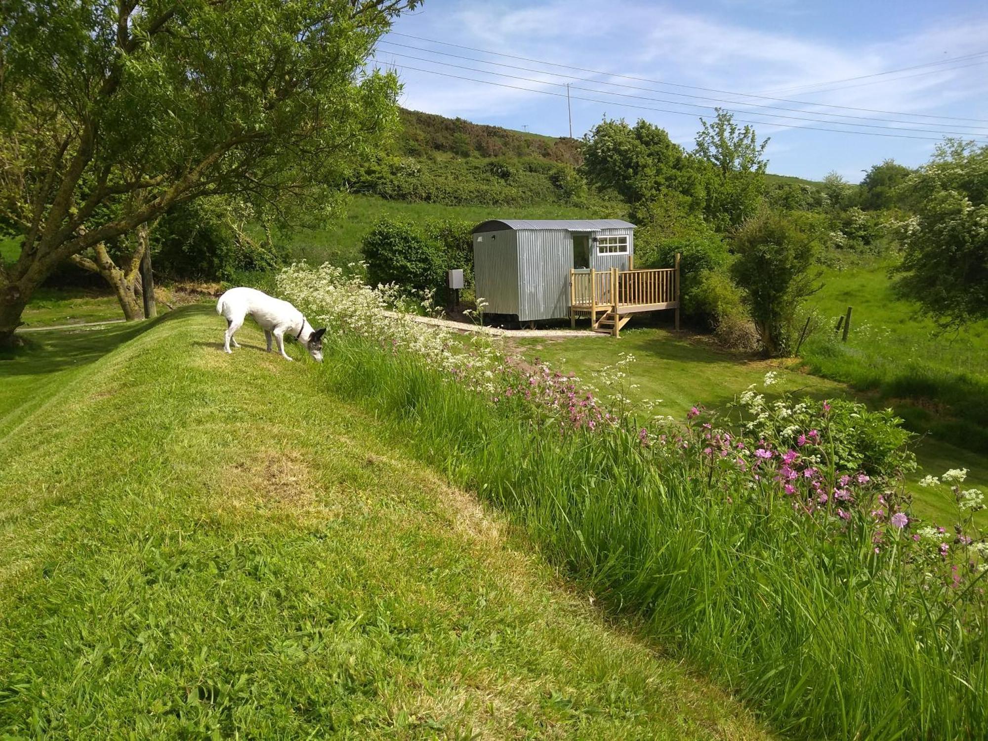 Shepherds Hut Weymouth Luaran gambar